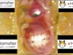 Anal tragar después mierda anal lesbico con su amante es la caliente semen puta