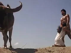 Chica sexoanal gay activa en medias de red y cabalga sobre una polla de pie como un loco
